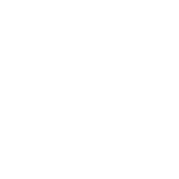 Next.js